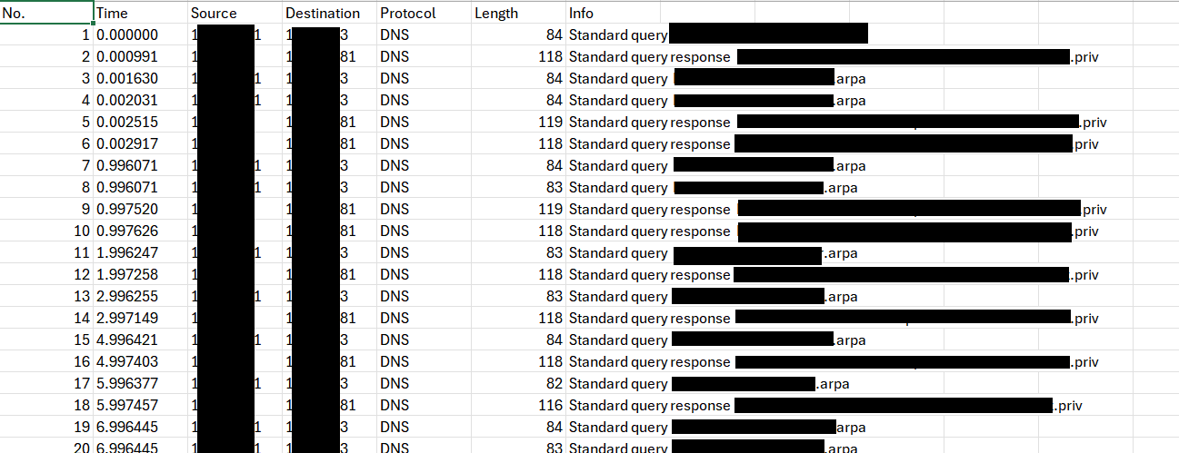 Export Wireshark des requêtes DNS émisses durant l’écran noir