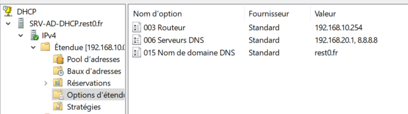 Options de l’étendue DHCP pour le LAN