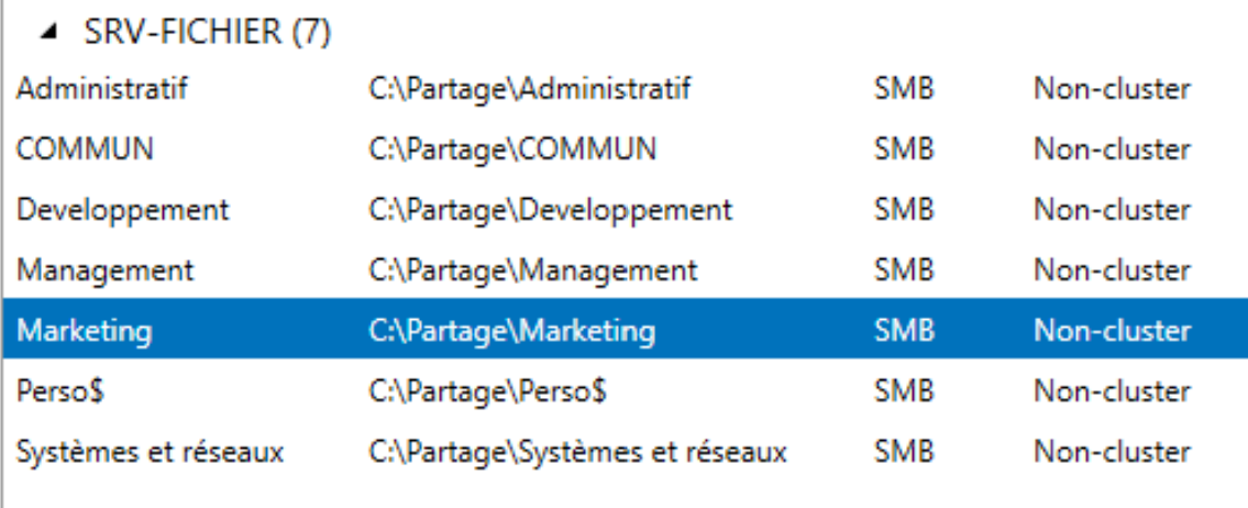 Partages sur SRV-FICHIER